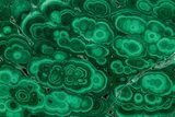Flowery Polished Malachite Slab - DR Congo #350834-1